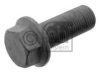 MAN 06028161013 Screw